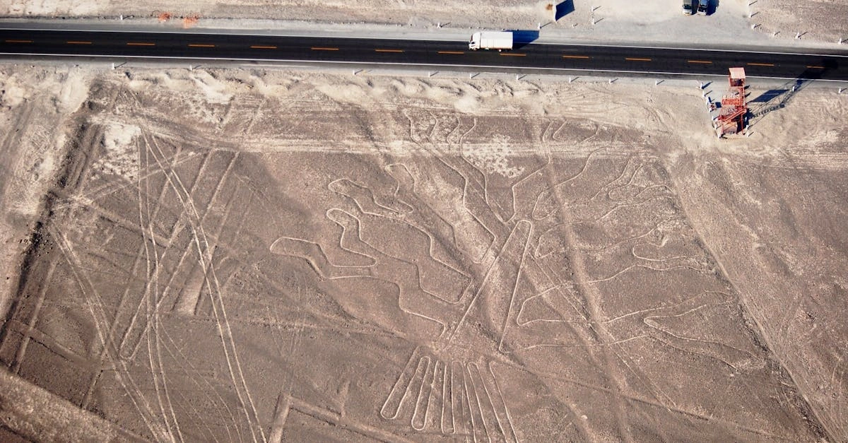 Aerial view of the ancient Nazca Lines geoglyph depicting a tree in Peru's arid desert landscape near a highway.